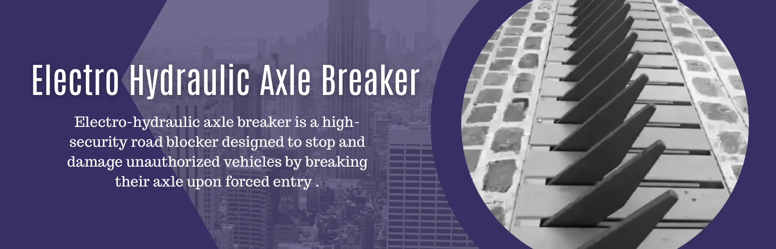 Our Services (1600 x 514 px) (21)